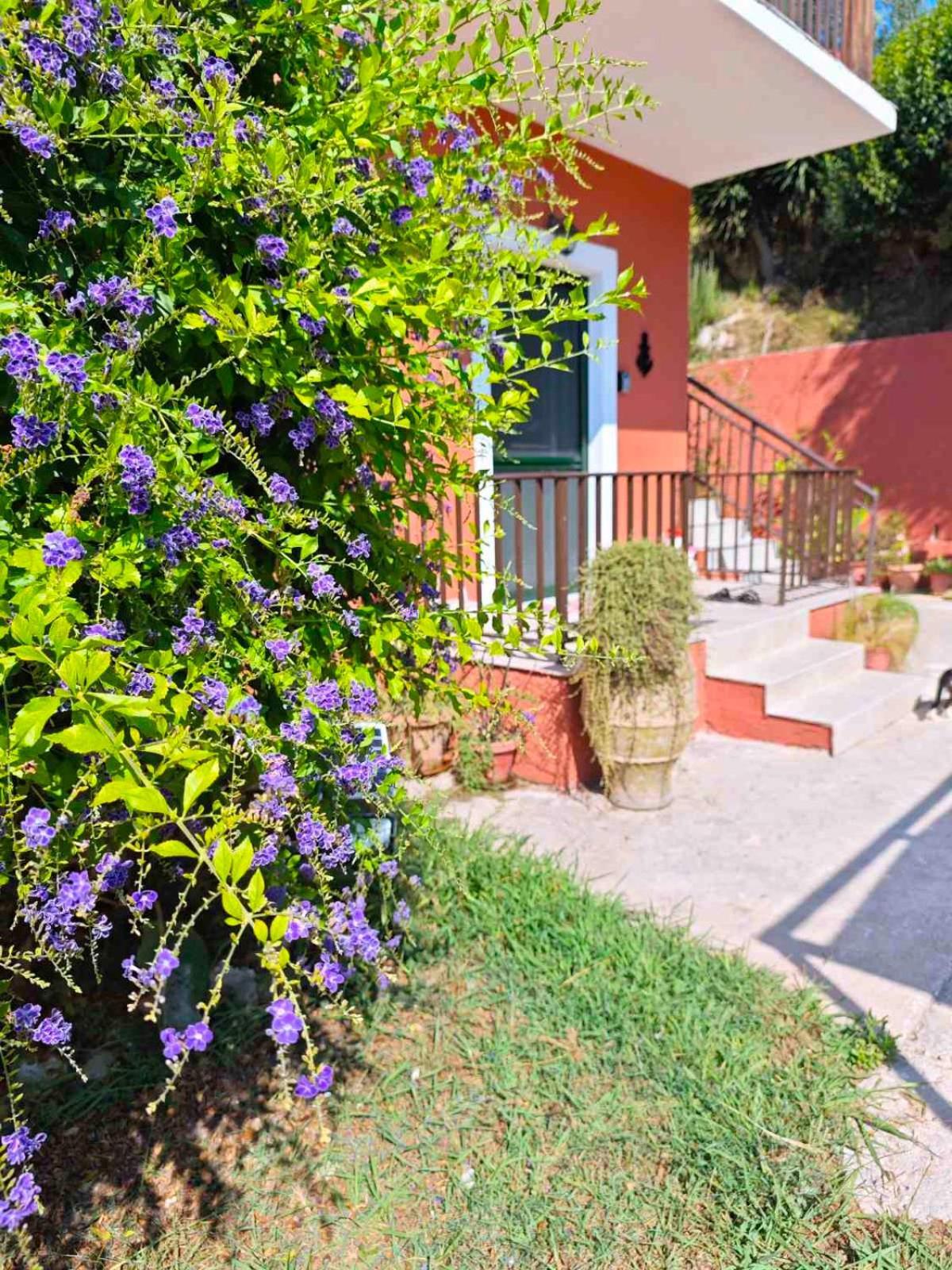 Captain'S Apt Arillas  Exterior foto